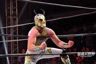 国产摔跤美女在线观看网站,在线观看网站带你领略激情瞬间