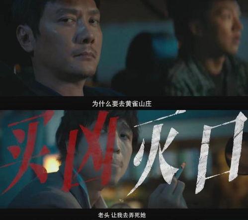 电影国产犯罪解说全集在线观看,揭秘剧情高潮与幕后真相