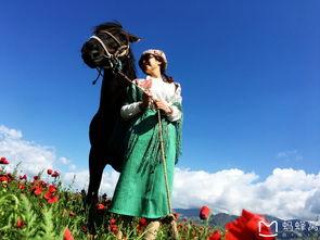 国产在线 新疆梦郎,探寻国产在线的魅力之旅