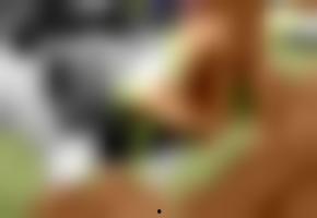 国产欧美在线高清免费,揭秘国产欧美在线高清免费资源攻略