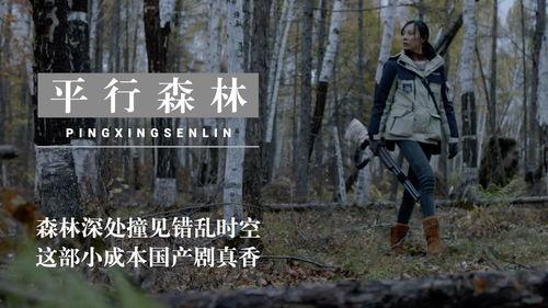 时空错位国产剧在线观看,国产剧中的奇幻之旅——在线观看指南