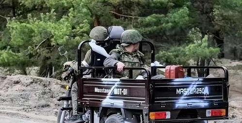 美军骑国产三轮车视频在线观看,跨国军事实力展示与文化交流瞬间