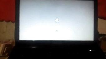 国产sv在线视频观看